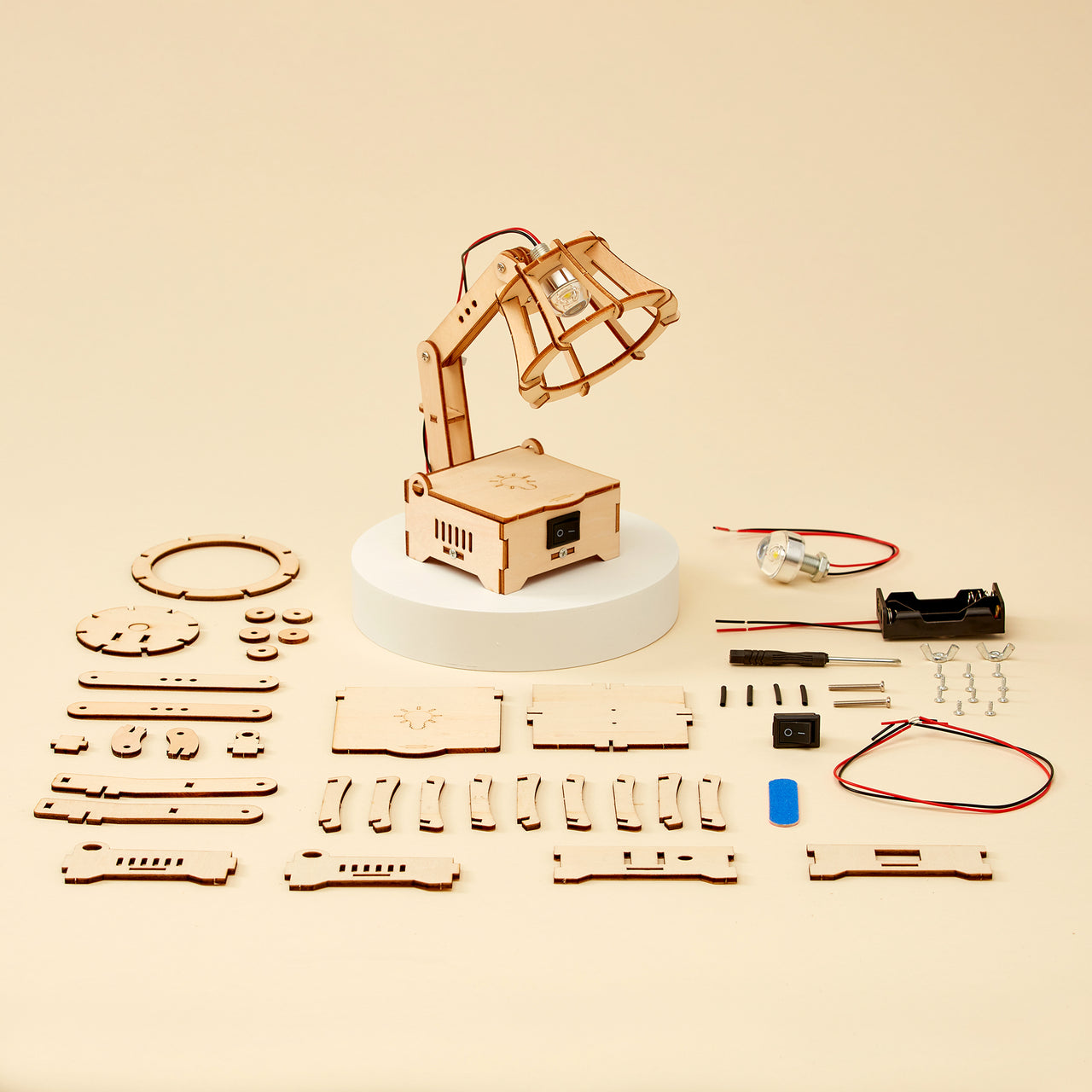 LED Lamp DIY Kit, Educational STEM Toy