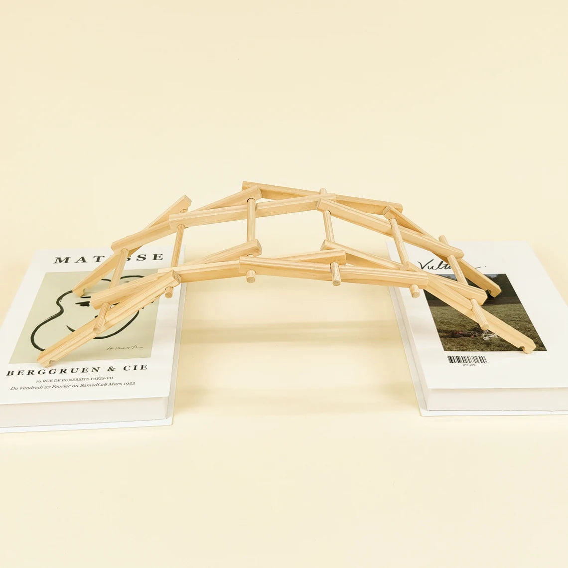 Da Vinci's Bridge DIY Kit, Educational STEM Toy